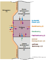 ProjektP219