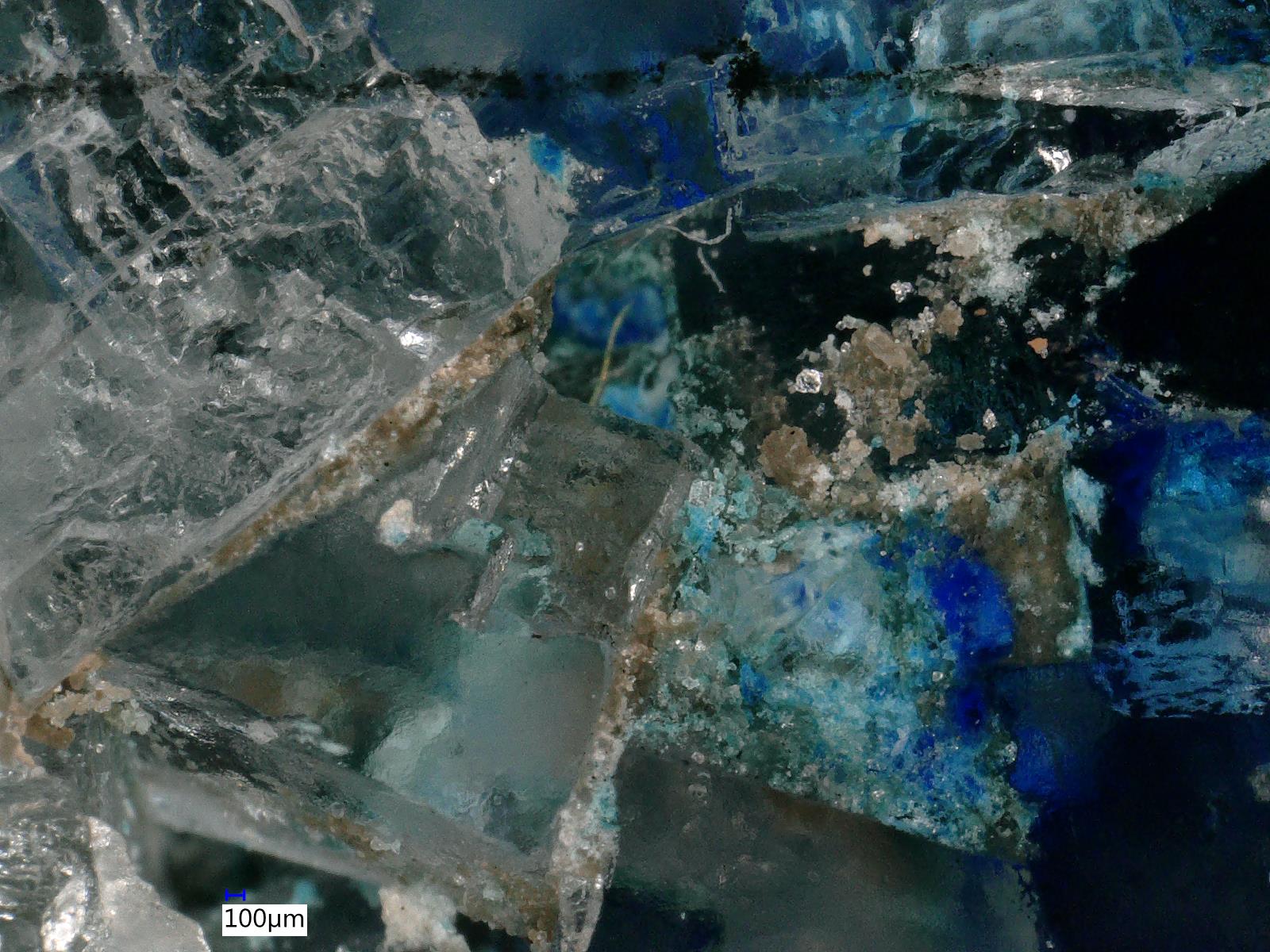 ProjektP310